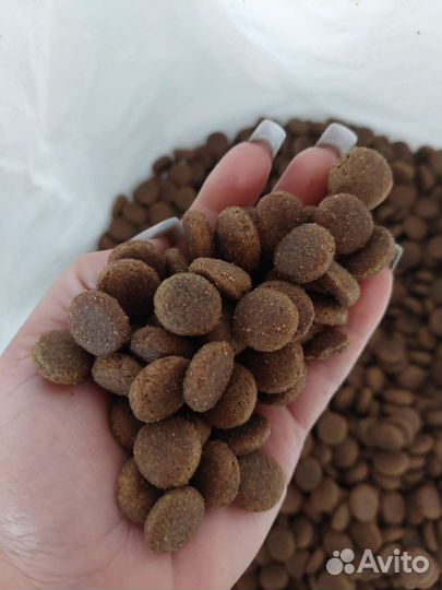 Корм для кошек и собак