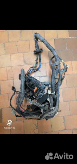 Жгут проводов