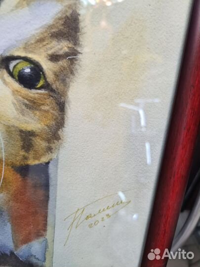 Акварель серия, котики