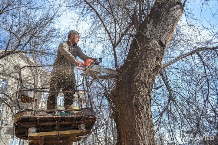 Выкорчевывание,Спил деревьев,Расчистка участка