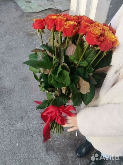 101 роза с доставкой, букет роз с доставкой