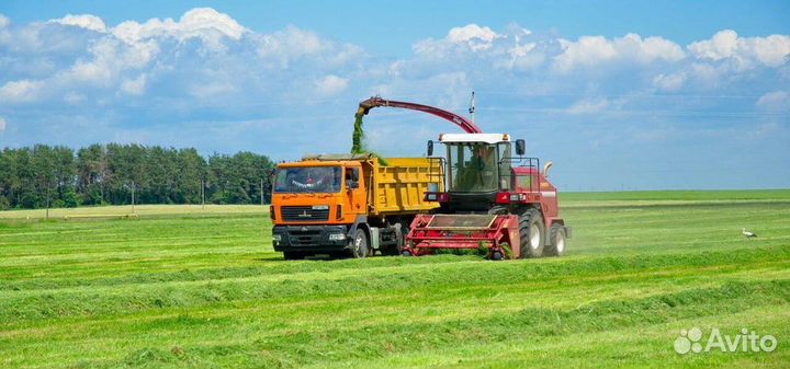 Комбайн Гомсельмаш КВК-800 (Палессе FS80), 2024