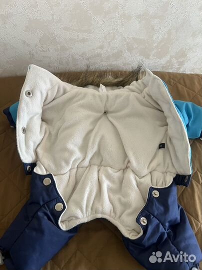 Одежда для собак зимняя