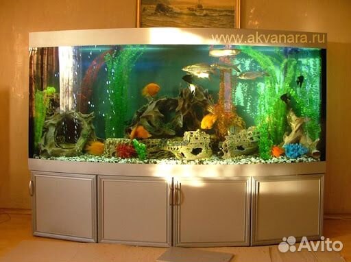 Аквариумы с тумбой. Крышка. Фильтр. Сифон. Скребок