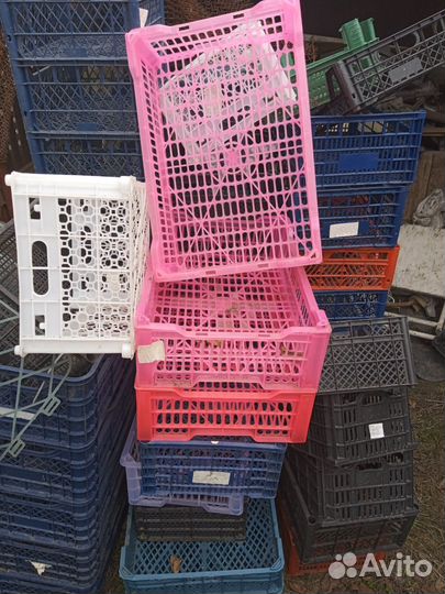 Пластиковая тара ящики можно на втор сыре