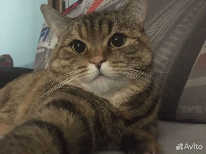 Биты от prod. жора картер