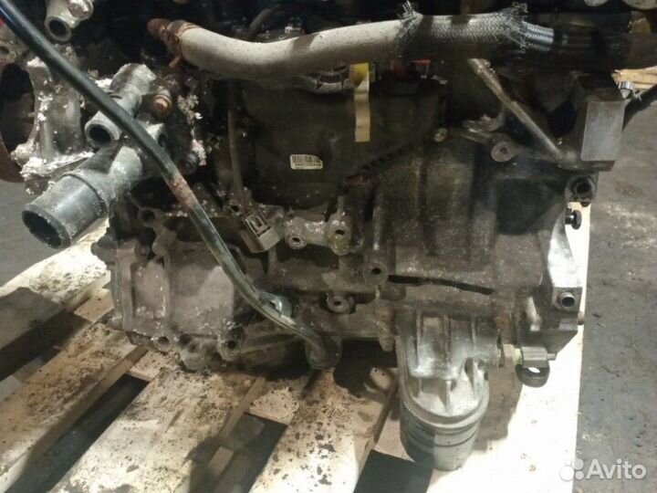 Двигатель Ford Focus 1.8 16V qqdb 2008-2011
