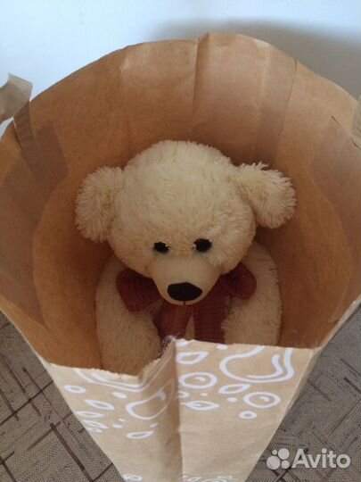 Плюшевый медведь