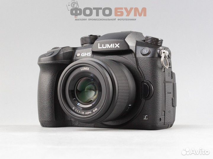 Фотоаппарат Panasonic Lumix GH5 kit 25 f1,7