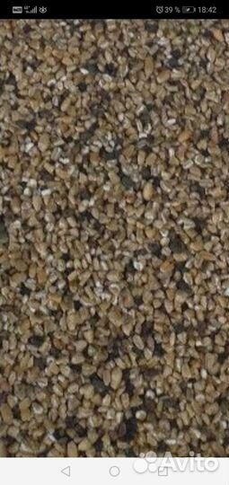 Ячмень,пшеница,зерносмеси,отруби, кукуруза