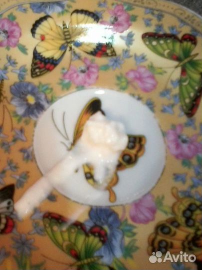 Продажа молочного гриба