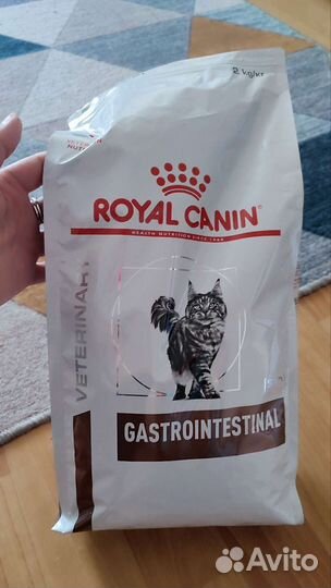 Корм для кошек роял канин
