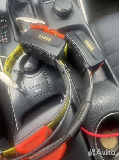 Ошейник garmin t5 rus