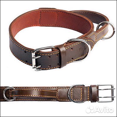 Снаряжение для дрессировки собак