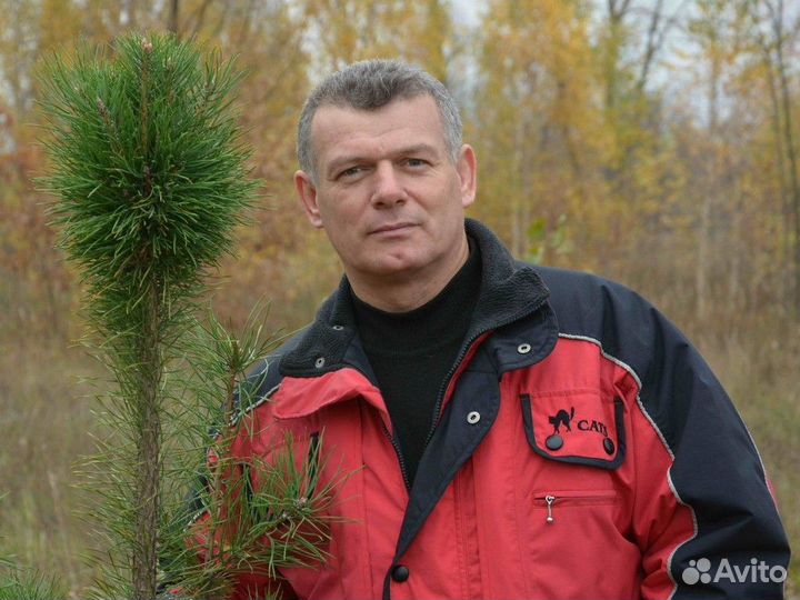 Ремонт холодильников и стиральных машин