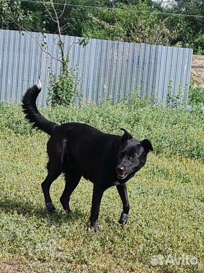 Молодая девочка