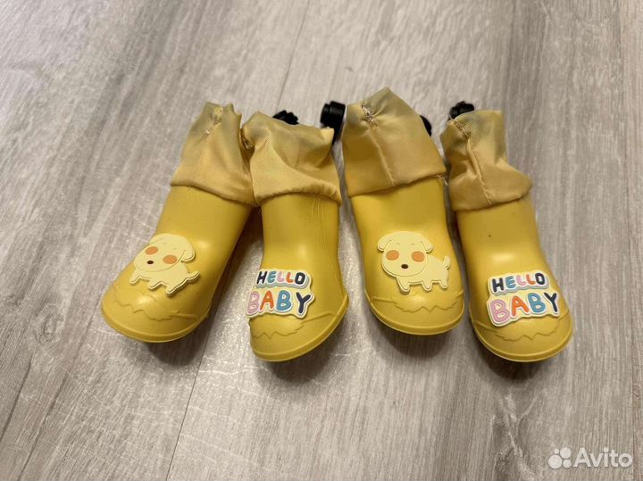 Обувь для животных