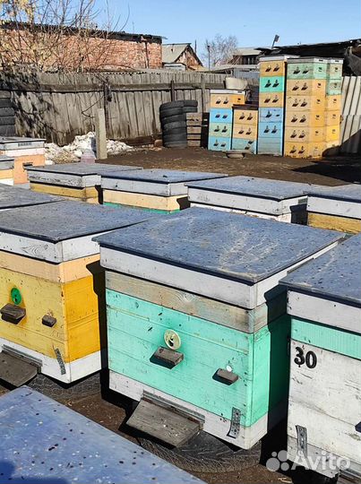 Ульи дадан 15ти рамочные, многофункциональные