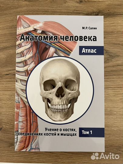Анатомия человека Сапин