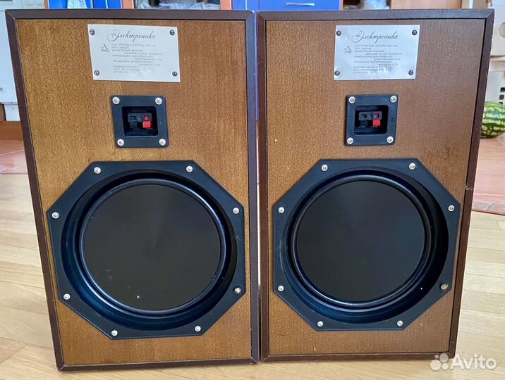 Колонки Электроника 35ас-130