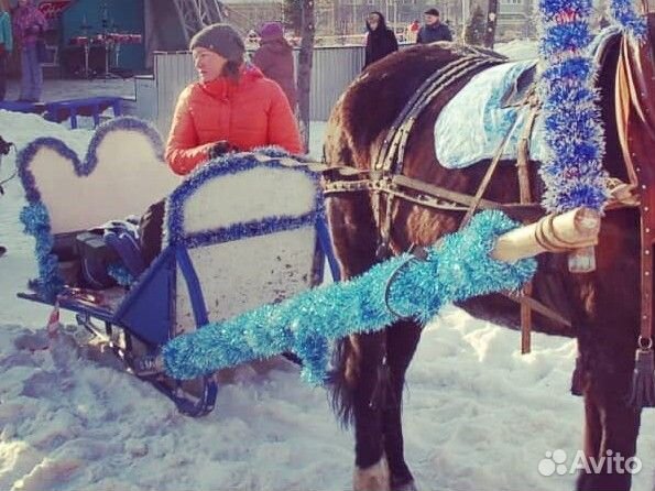 Сани для лошади упряжь дуга обмен