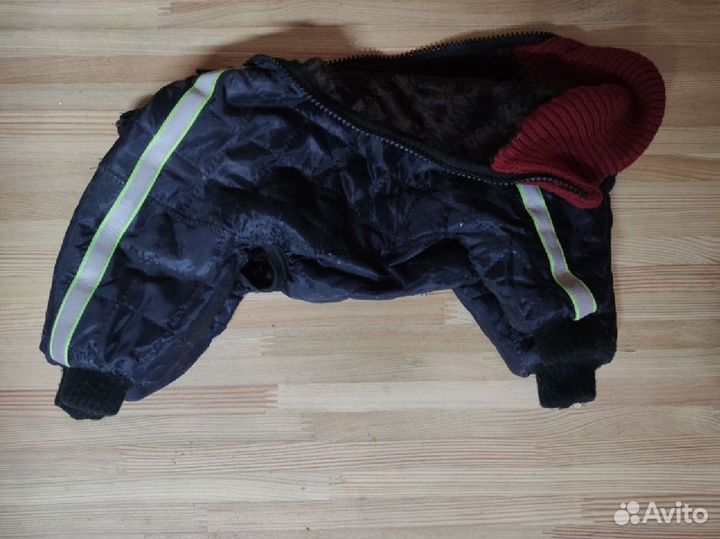 Одежда для тойчика