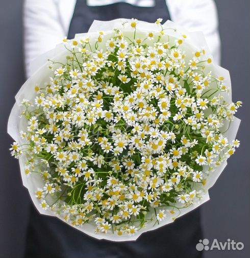 Ромашка букет