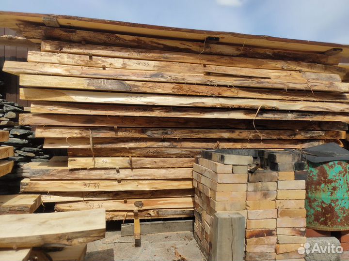 Слеб тополь