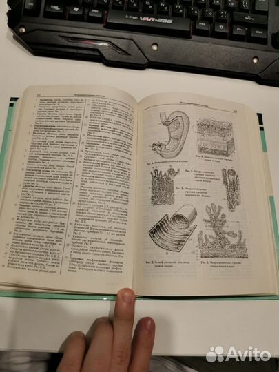 Книга карманный атлас анатомий человека