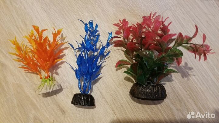 Мох, аквариумные растения, креветки, гуппи