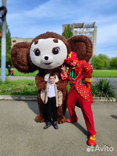 Мишки на Ваш праздник