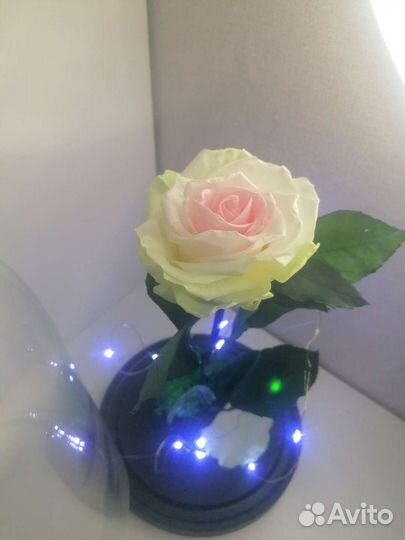 Роза в колбе с подсветкой подарки