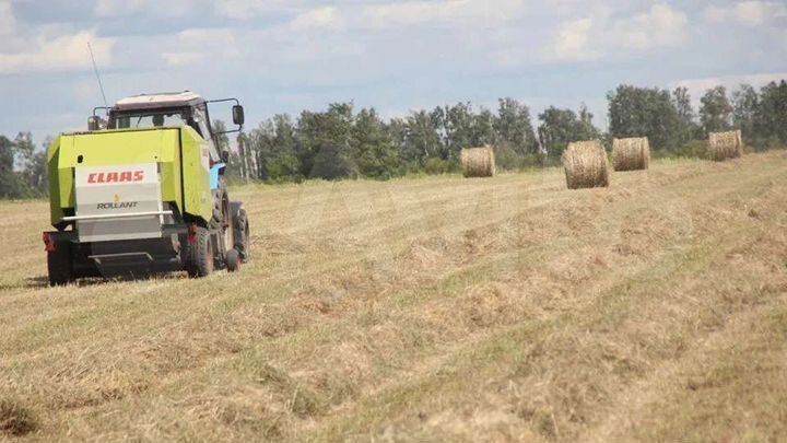 Участок 372,7 га (СНТ, ДНП)