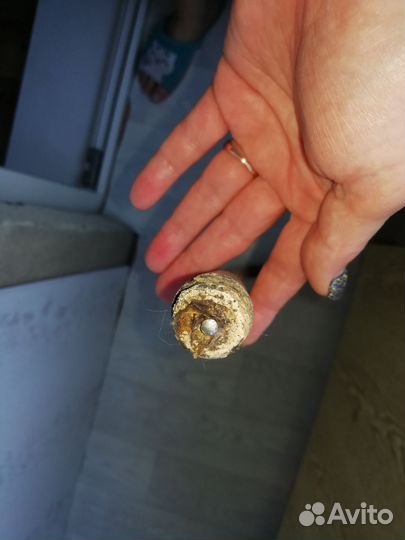 Палка трость