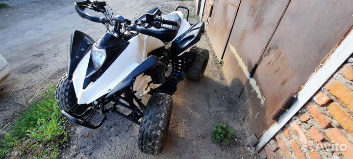 Рысь 125