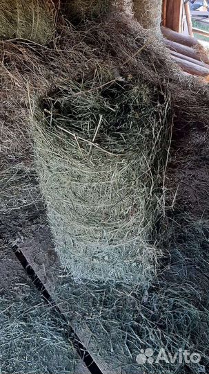 Сено в рулонах
