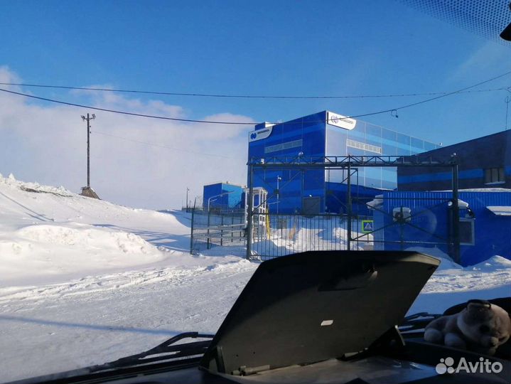 Водитель экспедитор категория в