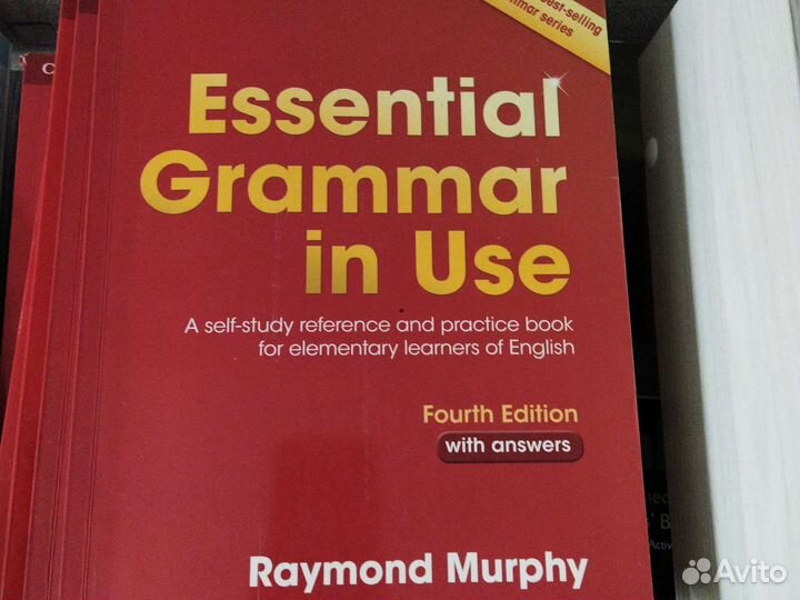 Essential Grammar in use 4th edition