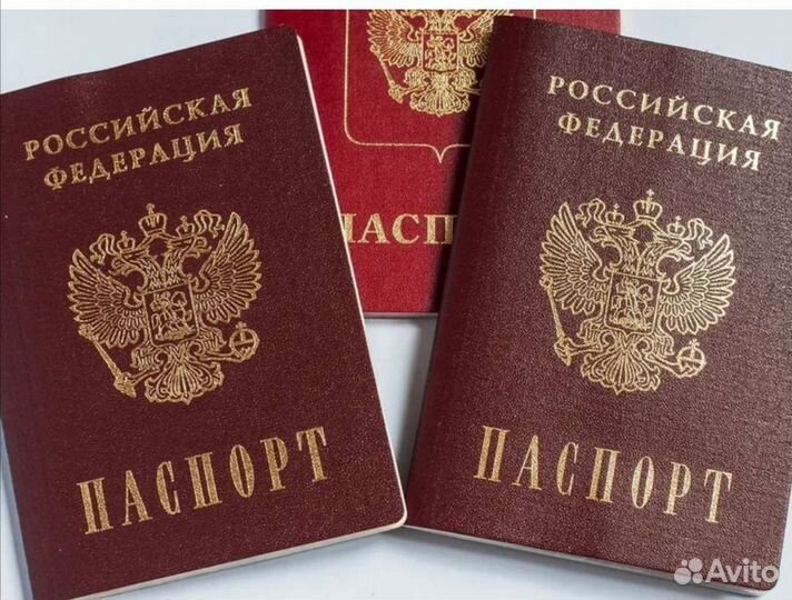 Гражданство РФ, внж, перевод документов