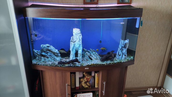 Аквариум Juwel vision 260 литров