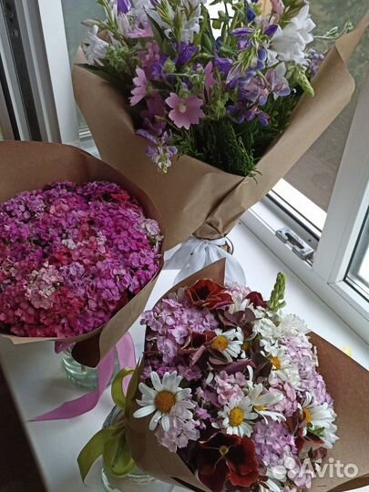 Клубника свежая