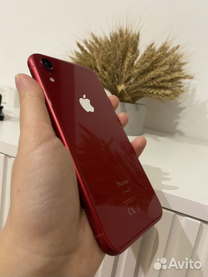 iPhone Xr, 64 ГБ
