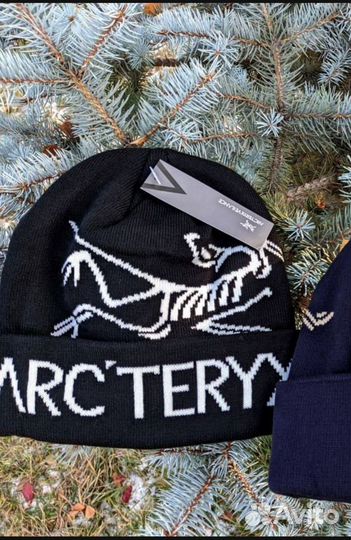 Шапка мужская arcteryx
