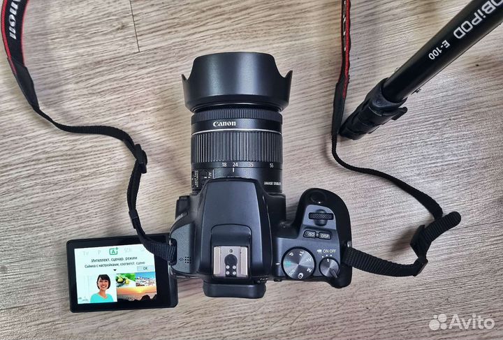 Фотоаппарат Canon 250d