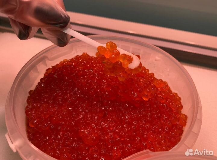 Красная икра Опт Кета Горбуша Нерка