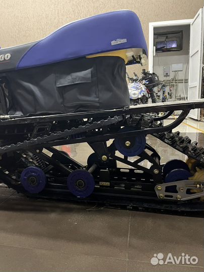 Dingo T150