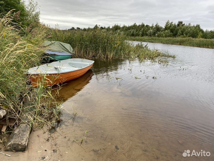 Сдам в аренду Пеллу