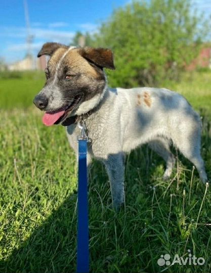 Маша ласкуша