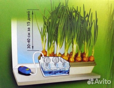 Проращиватель семян 