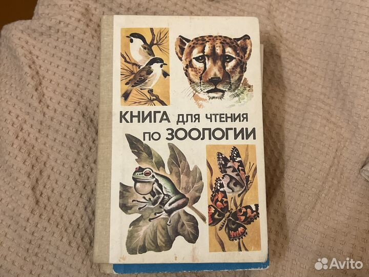 Зоология. Молис